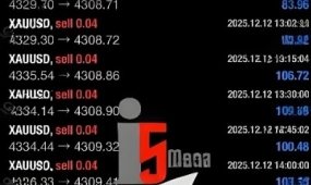 [网格]i5 MEGA EA黄金风控机制揭秘,高波动期生存指南