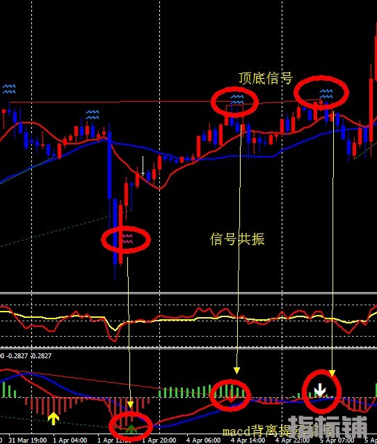 macd背离加顶底系统.jpg