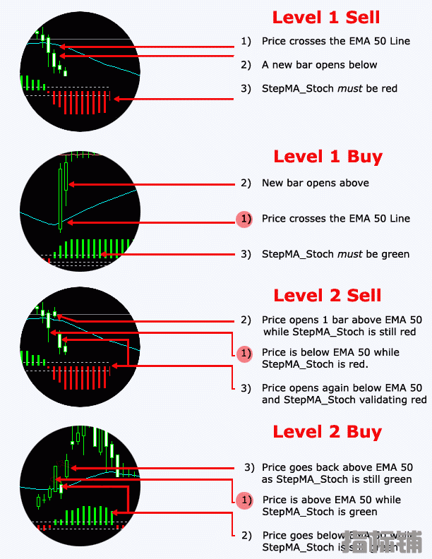 Nina CatFX50 All Signals.gif