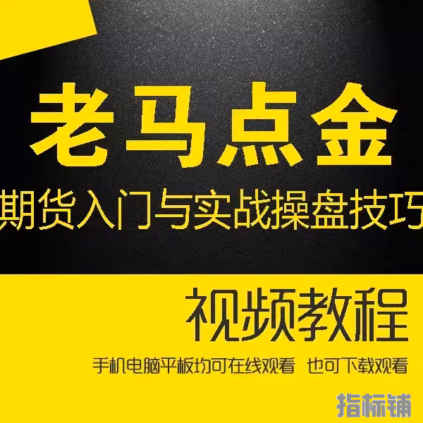 老马点金期货入门与实战操盘技巧培训视频