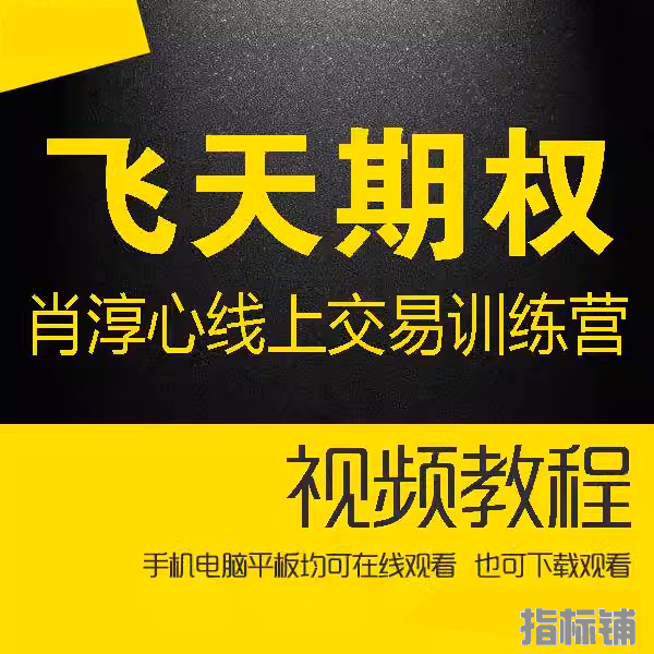 飞天期权肖淳心视频教学 线上交易训练营核心 期权基础知识2022