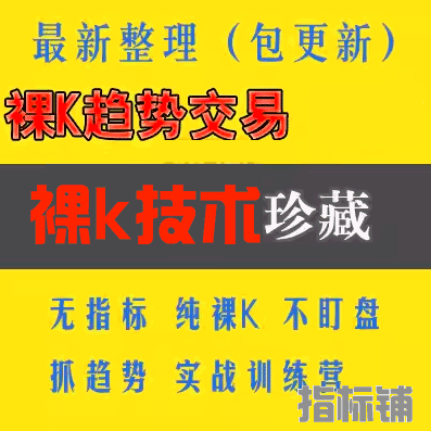 炒外汇视频教程裸k趋势交易系统日内短线交易技术分析实战训练